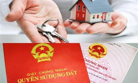 Kinh nghiệm mua đất để sinh lời